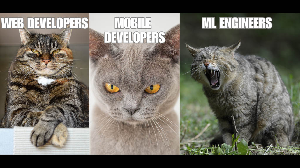 How to Make Your Developers Unproductive and Unhappy — slide 9